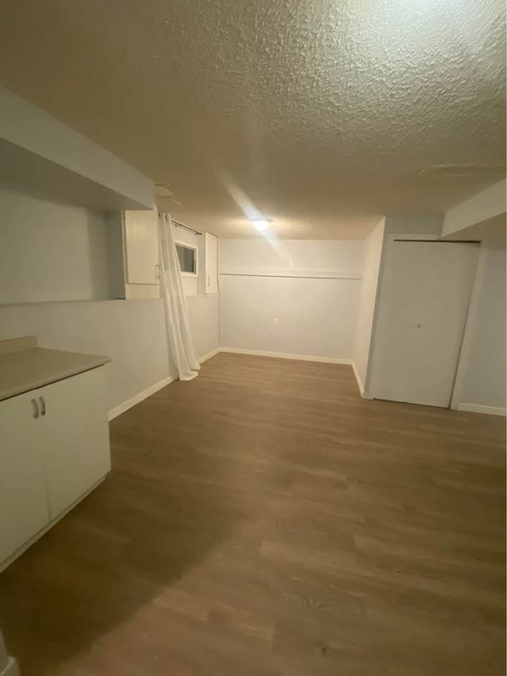 Falbury Crescent: basement living room