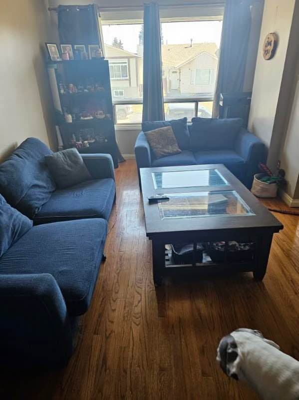 Templeson Crescent: living room